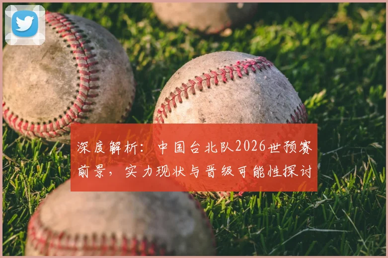 深度解析：中国台北队2026世预赛前景，实力现状与晋级可能性探讨