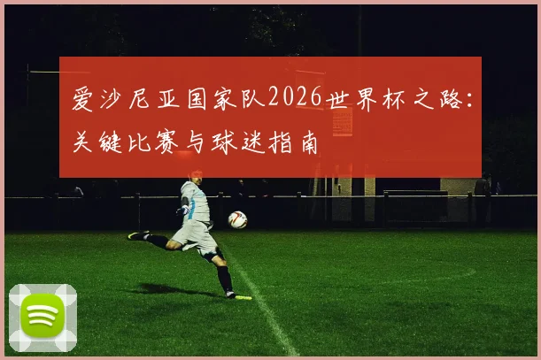 爱沙尼亚国家队2026世界杯之路：关键比赛与球迷指南